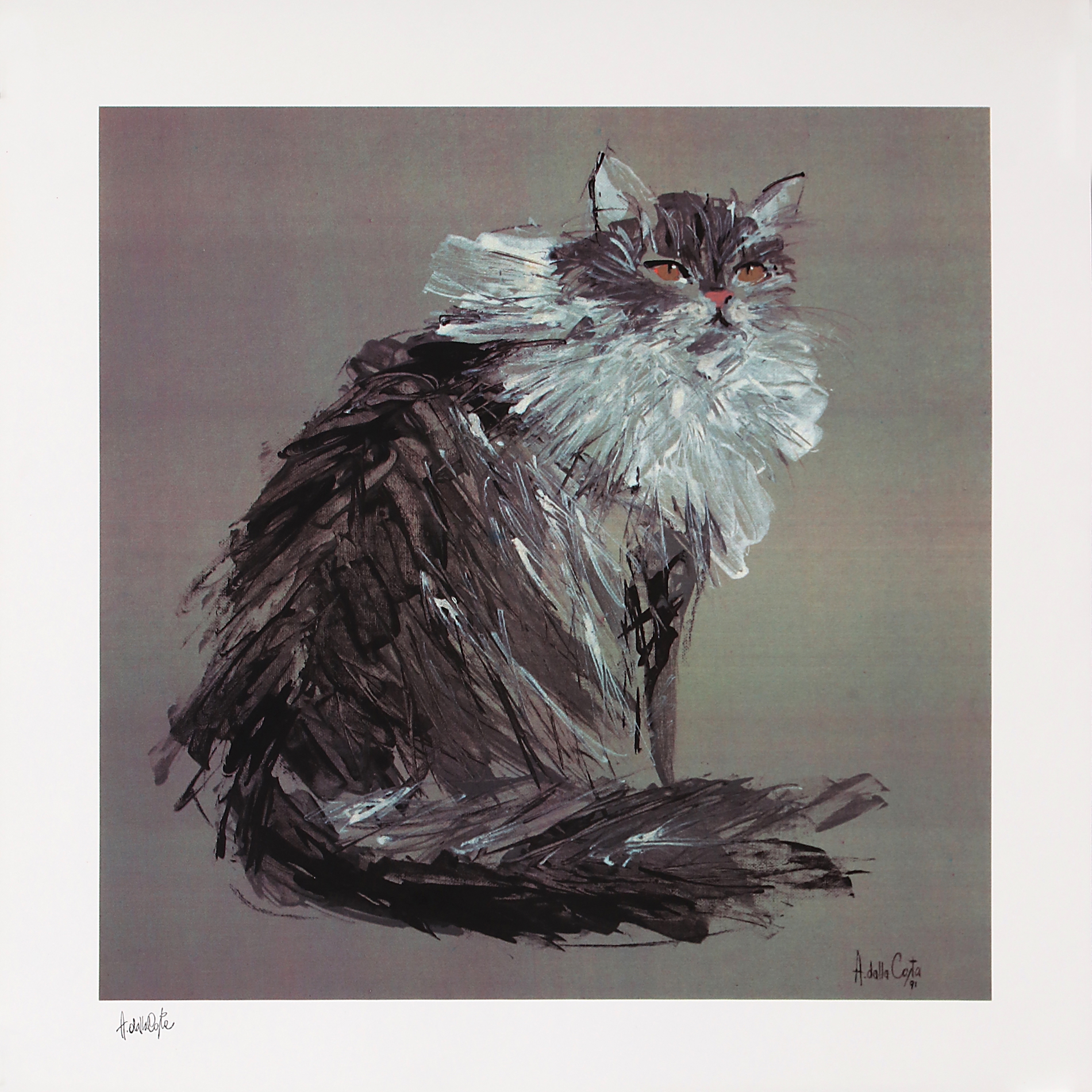 For sale: GATTO DAGLI OCCHI ROSSII
