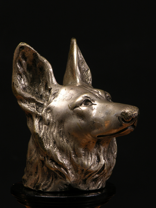 For sale: MASCOTTE BRONZE TETE DE CHIEN LOUP