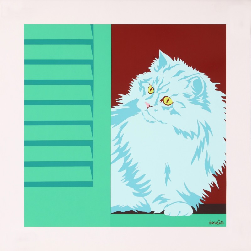 For sale: CLIO THE CAT