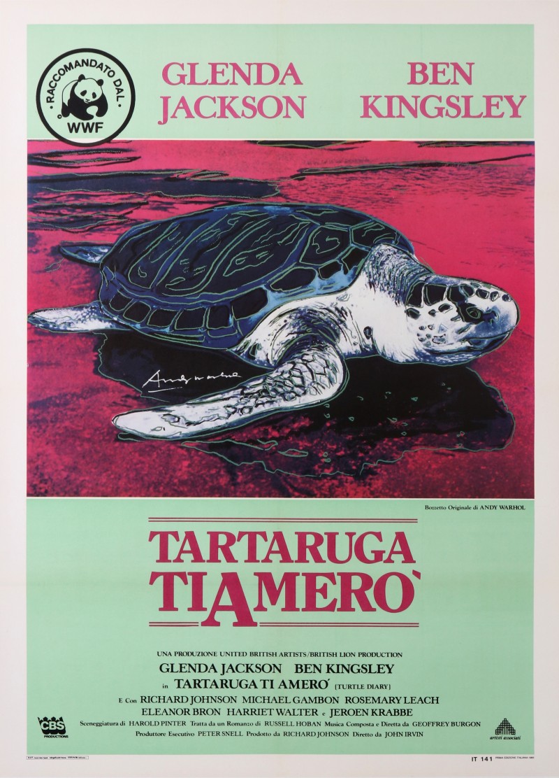 For sale: TARTARUGA TIAMERO